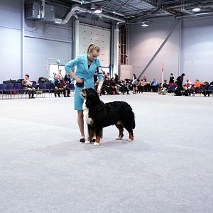 IMG_8719