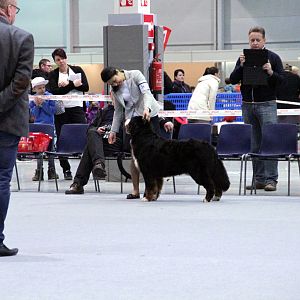 IMG_8725