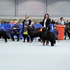 IMG_8730