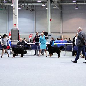 IMG_8741