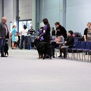 IMG_8778