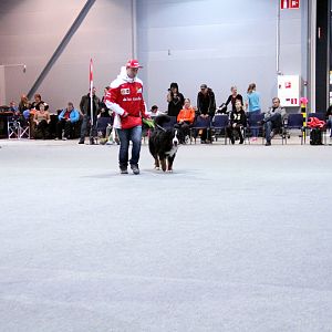 IMG_8789