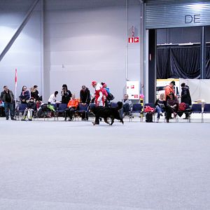 IMG_8795