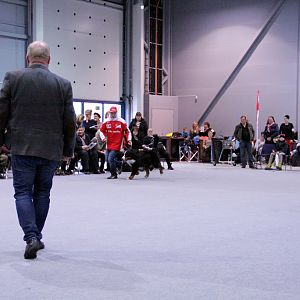 IMG_8796