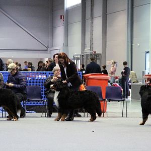 IMG_8874