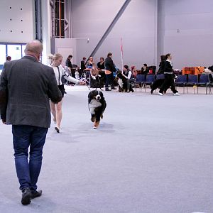 IMG_8969
