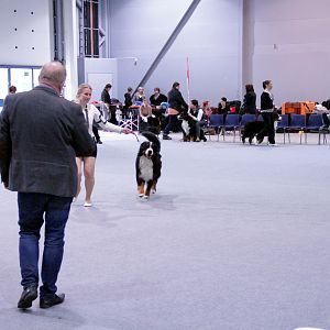 IMG_8970
