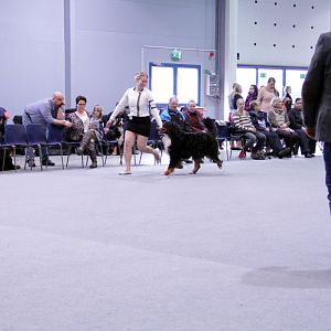 IMG_8971