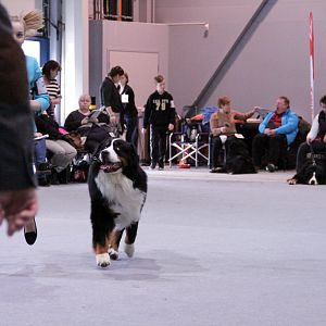 IMG_9003