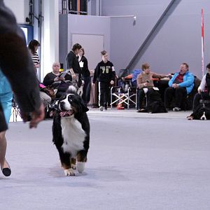 IMG_9004