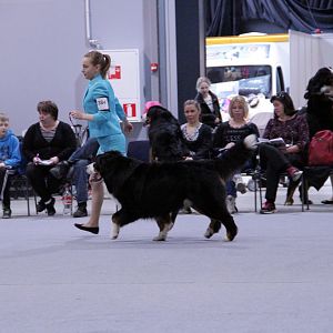 IMG_9006