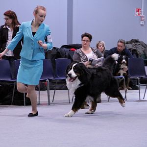 IMG_9008