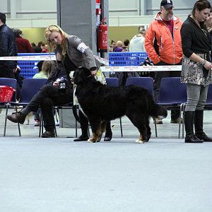 IMG_9020