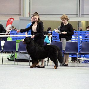 IMG_9024