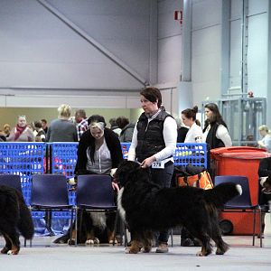 IMG_9029