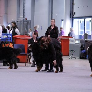 IMG_9031