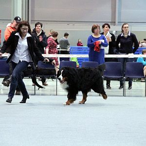 IMG_9037