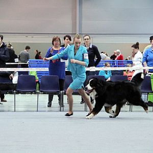 IMG_9041
