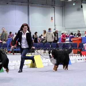IMG_9045
