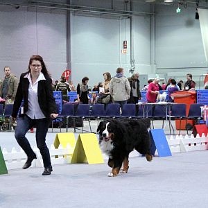 IMG_9046