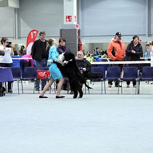 IMG_9052