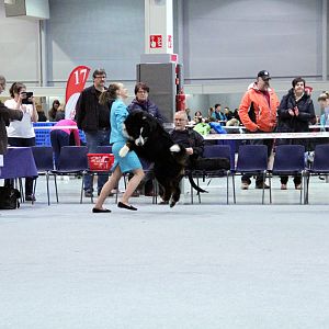 IMG_9053