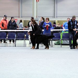 IMG_9054
