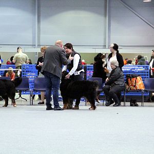 IMG_9058