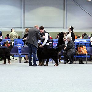 IMG_9059
