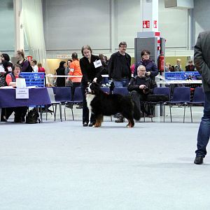 IMG_9061