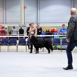 IMG_9062