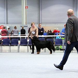 IMG_9063