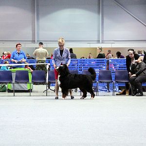 IMG_9065