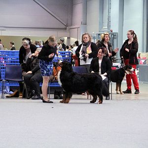 IMG_9066