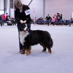 IMG_9073