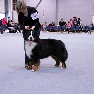IMG_9074