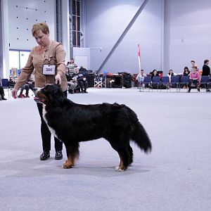 IMG_9082