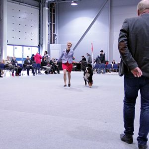 IMG_9087