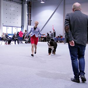 IMG_9088