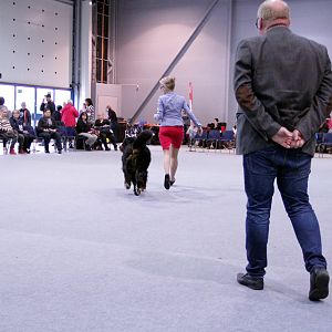 IMG_9089