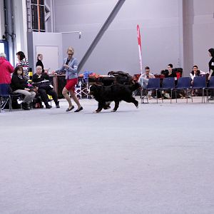 IMG_9092