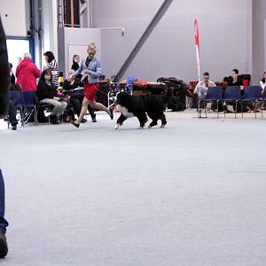 IMG_9093