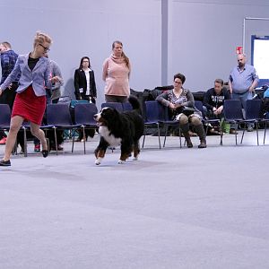 IMG_9094