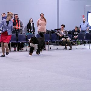 IMG_9095