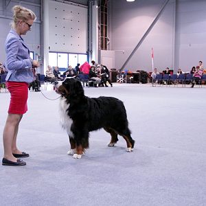 IMG_9096