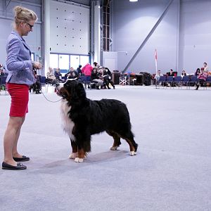 IMG_9097