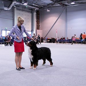 IMG_9101