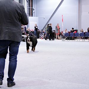 IMG_9105