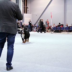 IMG_9106