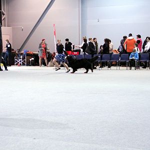 IMG_9108